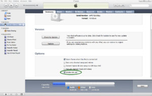 iTunes - Enable disk use (PC)
